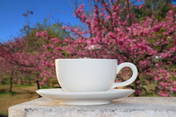 Poranną kawę w ogrodzie kwiatowym — Zdjęcie stockowe