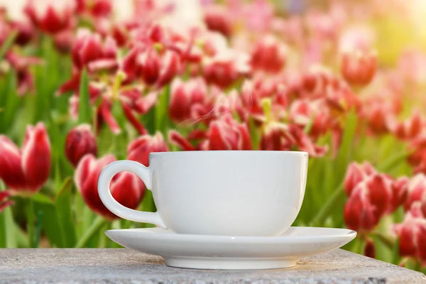 Café de la mañana en el jardín de flores —  Fotos de Stock