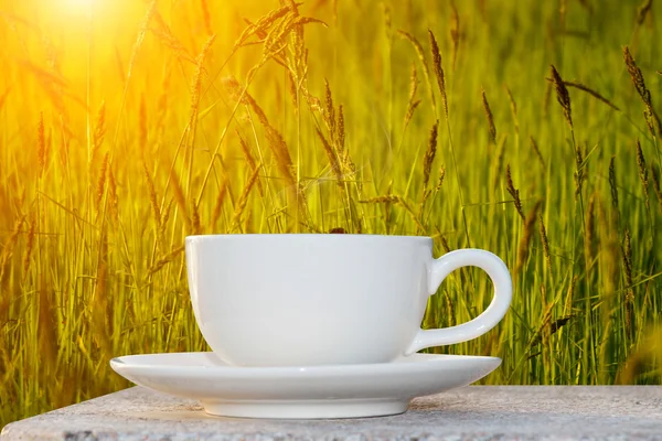 Morning coffee and grass flower — Stock Photo, Image