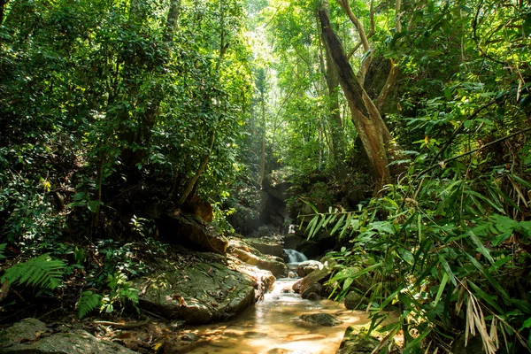 Piccola cascata in Thailandia — Foto Stock