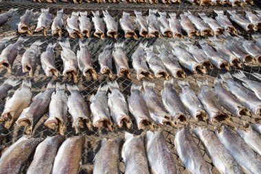 Kurutulmuş balık Asya mutfağında kullanılan