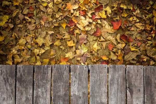 Plancher en bois vide et feuilles sèches sur le sol — Photo