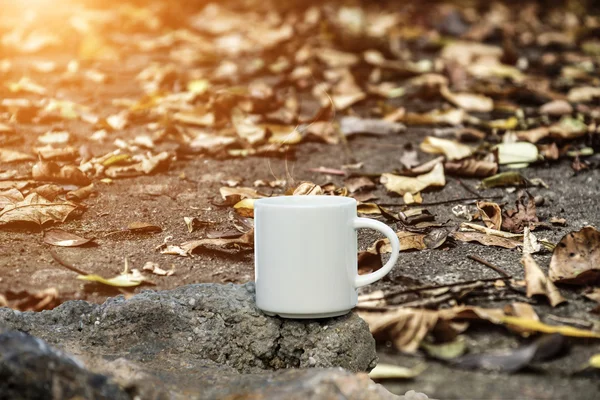 Koffie in de ochtend — Stockfoto