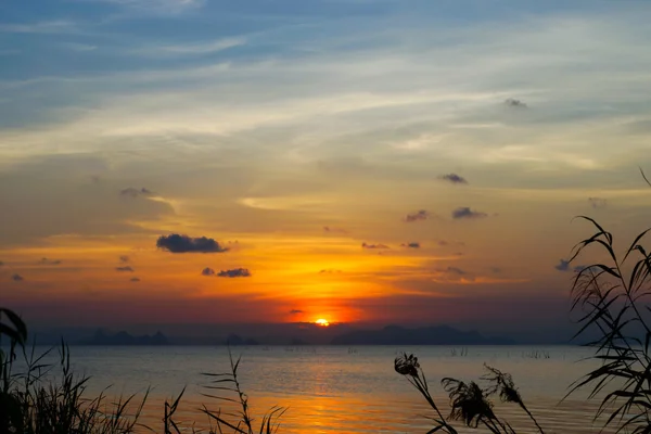 Cielo atardecer, desenfocado — Foto de Stock