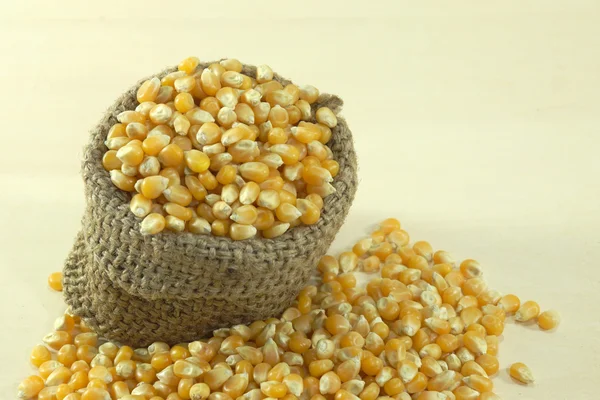 Raw corn for popcorn. — Stock Photo, Image