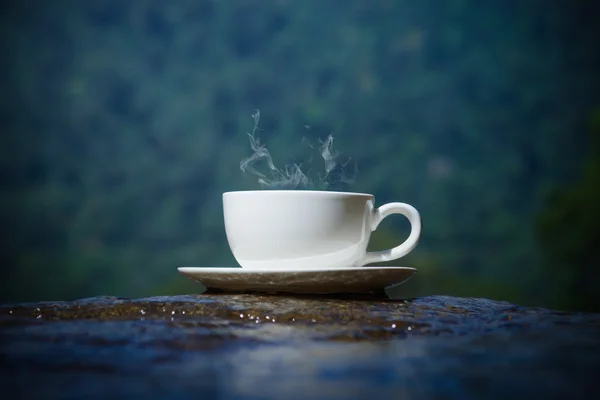 Refreshments and coffee on the rocks at the waterfalls. — Stock Photo, Image