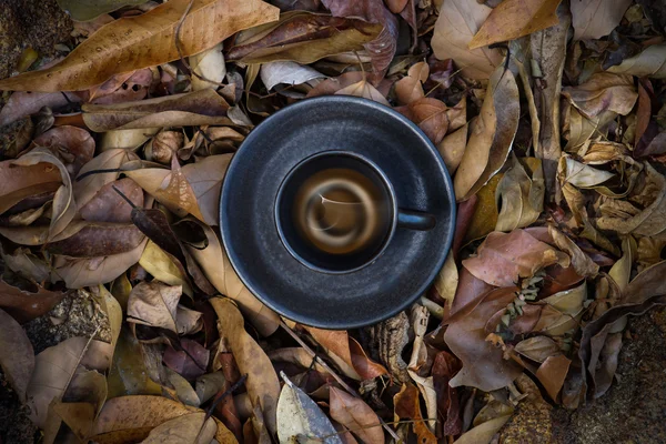 Koffie op de droge bladeren. — Stockfoto