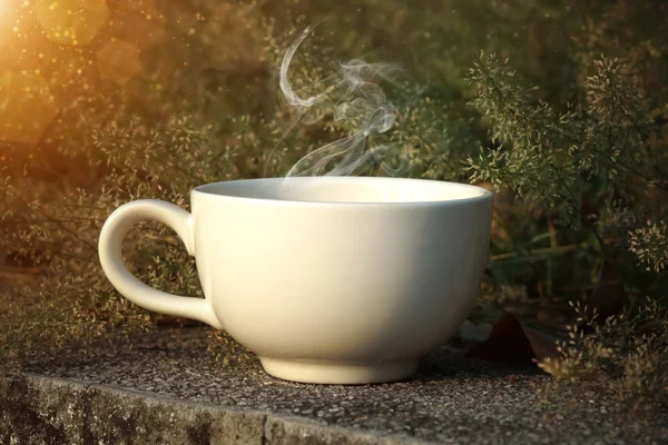 Tazza di caffè con erba piccolo fiore — Foto Stock