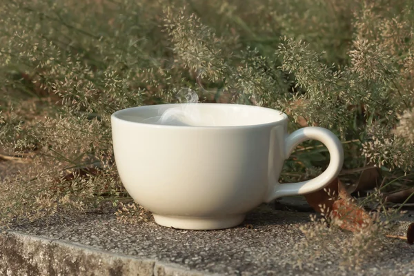 Xícara de café com grama pequena flor — Fotografia de Stock