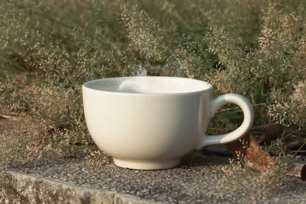 Coffee cup with small flower grass — Stock Photo, Image