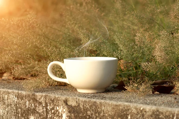 Kaffekopp med liten blomma gräs — Stockfoto