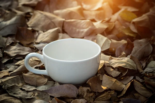 Copo de café branco em branco em folhas secas . — Fotografia de Stock