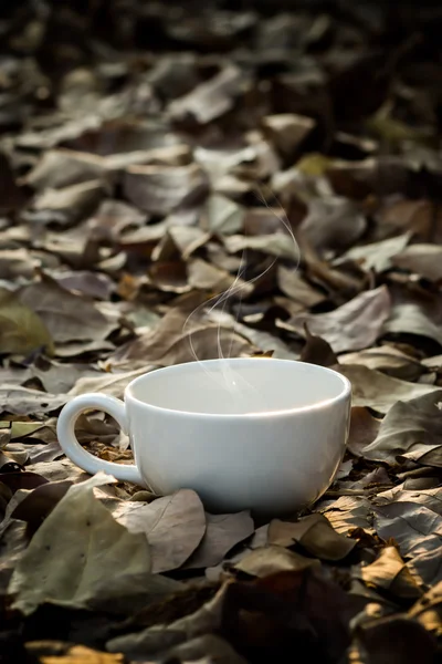 Vit kaffekopp på torra löv. — Stockfoto