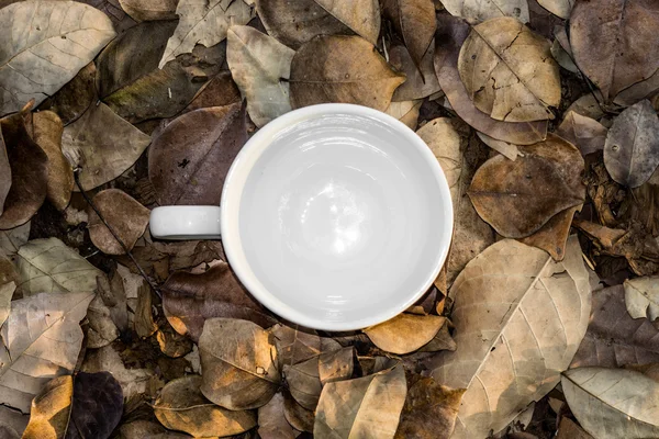 Copo de café branco em branco em folhas secas . — Fotografia de Stock