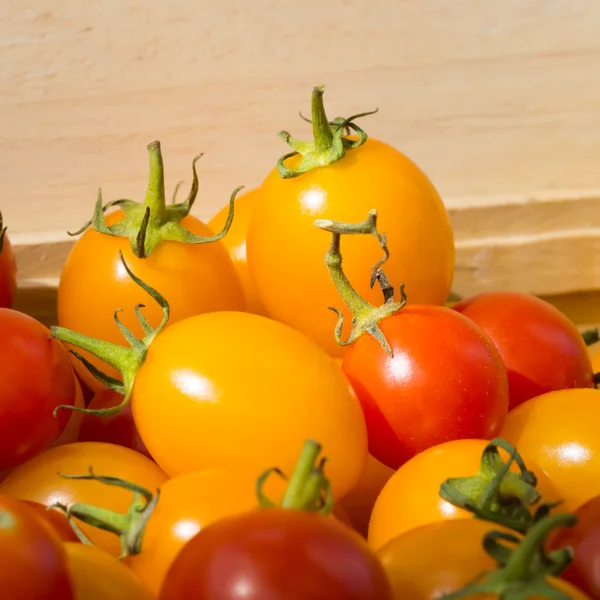 Small Red and Yellow tomato. — Stock Photo, Image