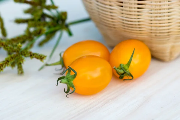 Küçük sarı domates. — Stok fotoğraf
