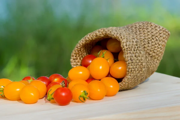 Små röda och gula tomater. — Stockfoto