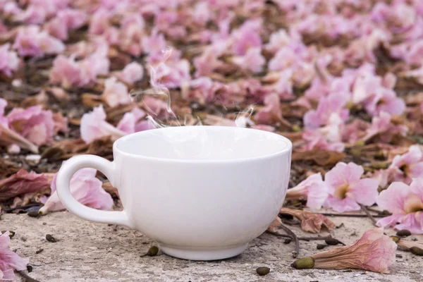 Morgonkaffe i trädgården — Stockfoto