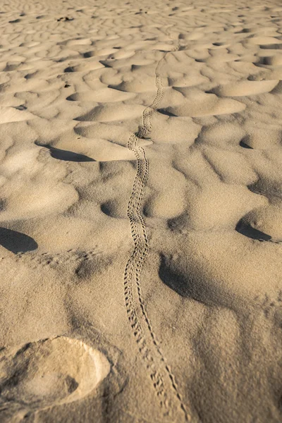 View and details of the sand, Phang Nga - Thailand. — Stock Photo, Image