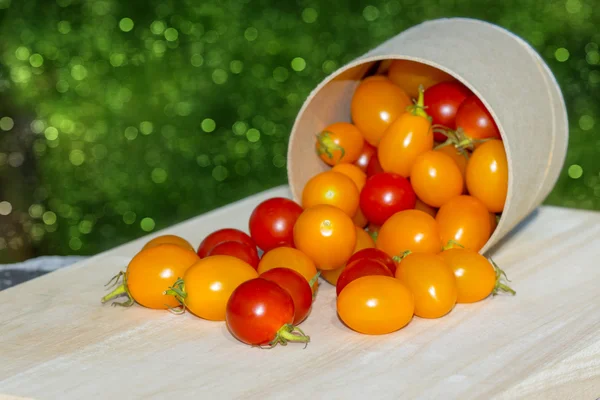 Pequeno tomate vermelho e amarelo . — Fotografia de Stock