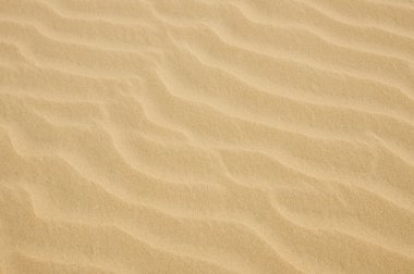 Yaz aylarında bir plajda sarı kum desen closeup