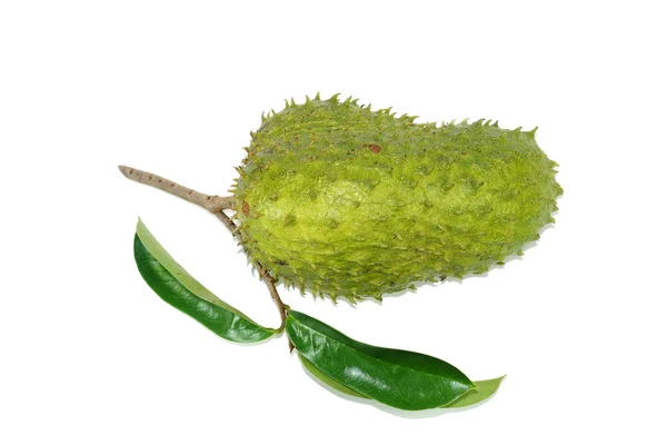 Soursop, manzana natillas espinosas . — Foto de Stock