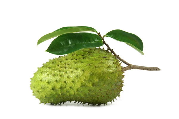 Soursop, manzana natillas espinosas . — Foto de Stock