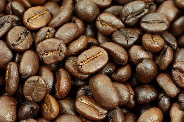 Coffee beans — Stock Photo, Image