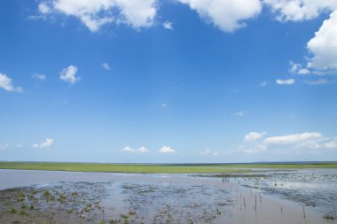 Beyaz ile mavi gökyüzü olabilir