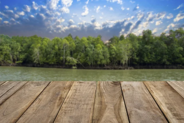 Sfondo parete in legno — Foto Stock