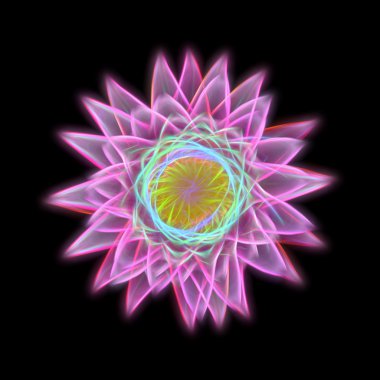 Nilüfer hibrid çiçek görüntüsünü kızdırma.