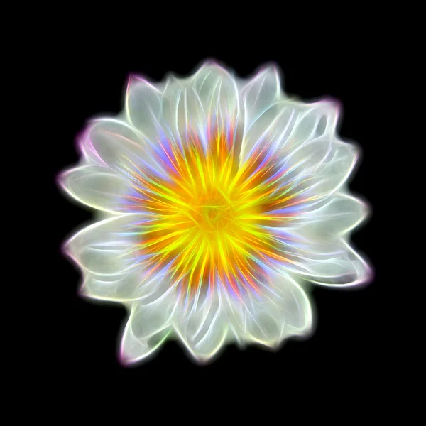 Glow image of waterlily flower. — Stock Photo, Image