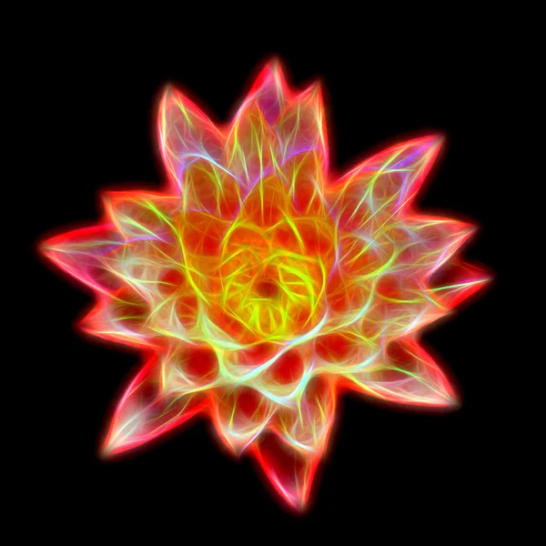 Glow image of waterlily Hybrid flower. — Stock Photo, Image