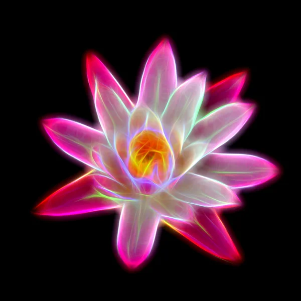 Glow image of Pink waterlily flower. (Lotus) — Stock Photo, Image