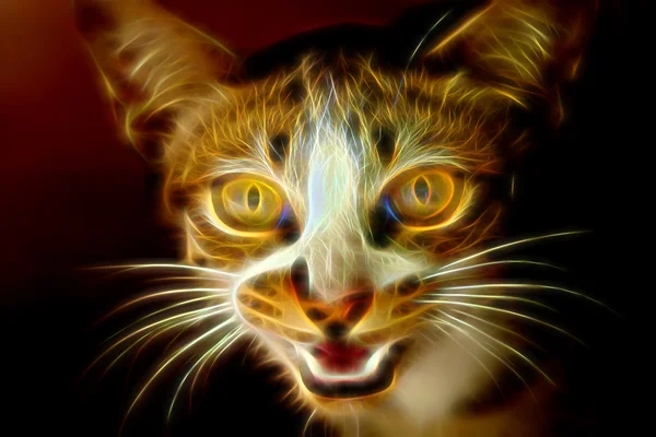 Светящийся образ бенгальской кошки . — стоковое фото