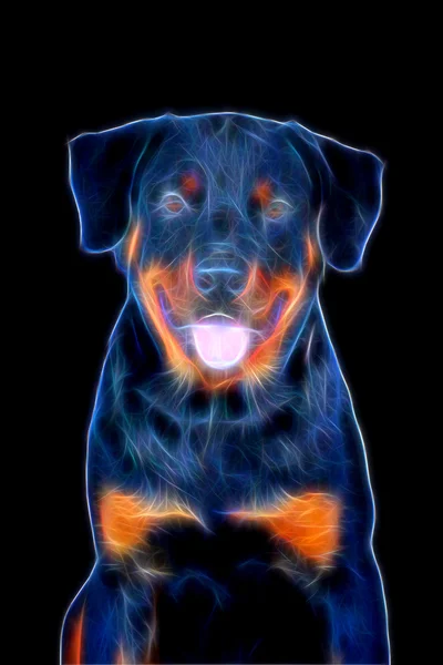 Glow image of Rottweiler — Stock Photo, Image