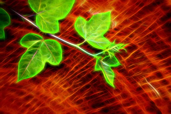 Glühen Bild der grünen Blätter. — Stockfoto