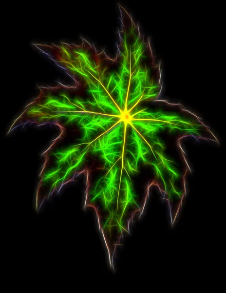 Glow image of Begonia  leaves — Stock Photo, Image