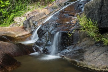 tropikal orman şelale