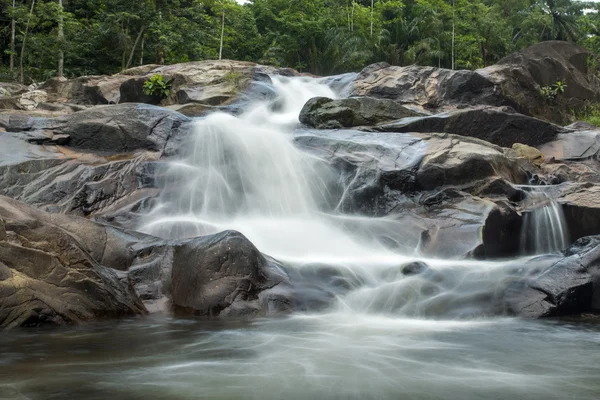 热带森林中的瀑布 — 图库照片