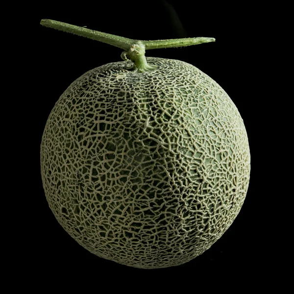 Honeydew melon from Japan — Stock Photo, Image