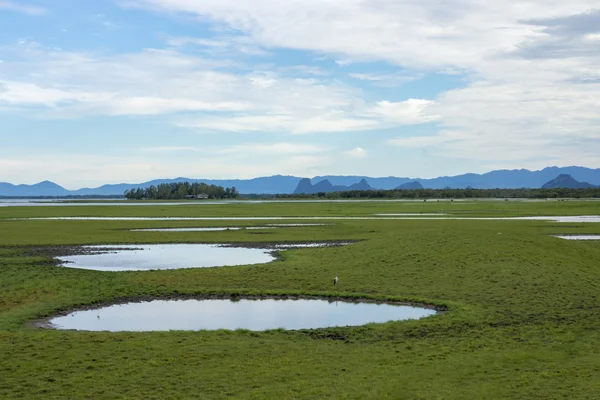 Djurlivfristäder i södra thailand. — Stockfoto