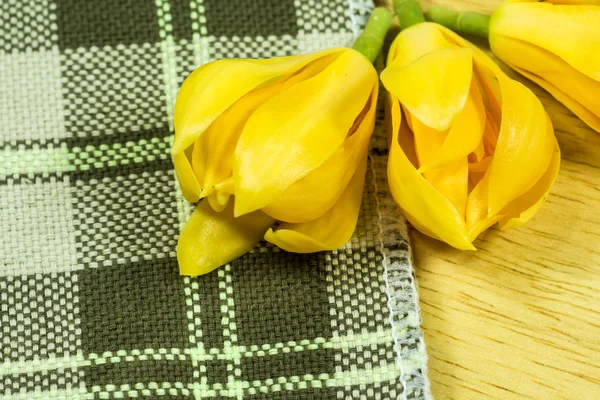 Fragrant yellow flowers refreshing. — Stock Photo, Image