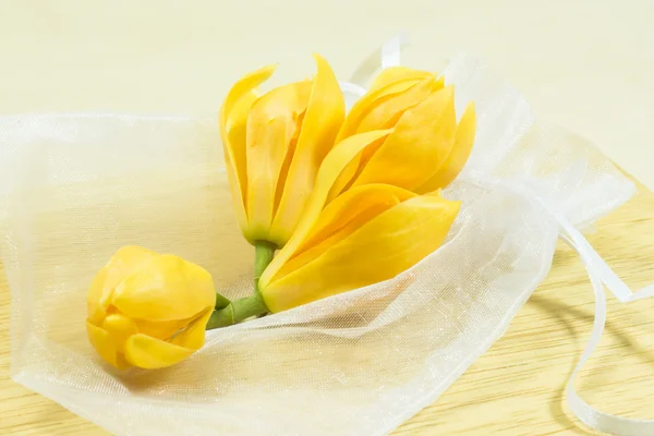 Geurende gele bloemen verfrissend. — Stockfoto