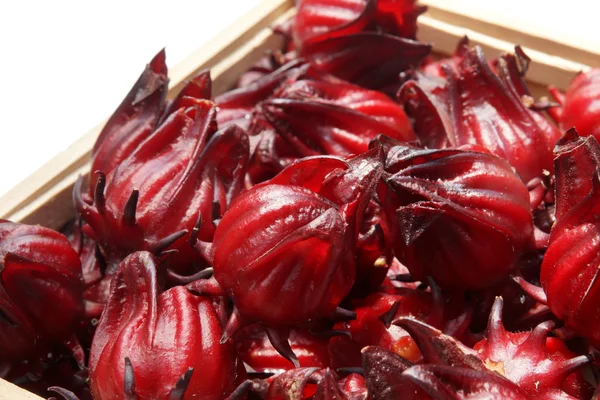 Hibiscus sabdariffa or roselle fruits — Stock Photo, Image