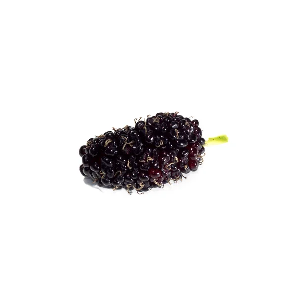 Black Mulberry on white background — Stock Photo, Image