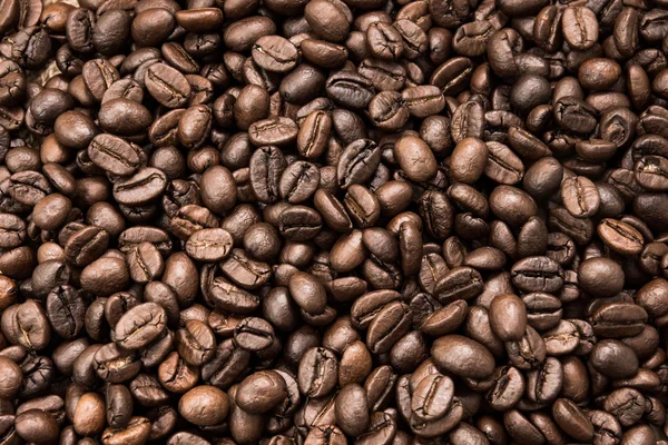 Coffee beans — Stock Photo, Image