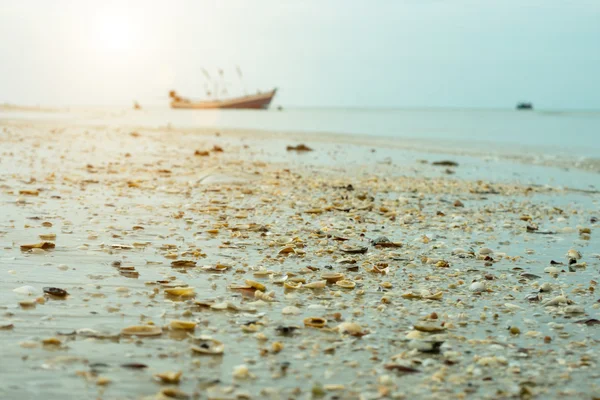 Vintage färgbild av snäckor på stranden. — Stockfoto