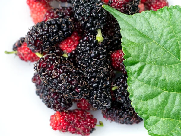Fresh organic mulberry — Stock Photo, Image