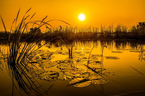 Céu do pôr do sol no lago, Tailândia . — Fotografia de Stock